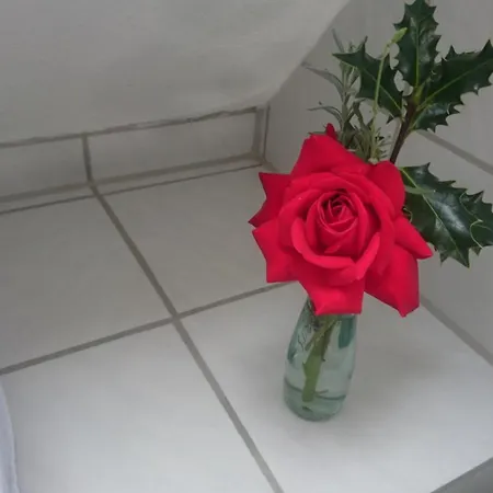 Michaela Bucher Appartement